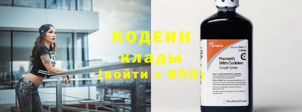 ECSTASY Алзамай