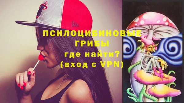 не бодяженный Алексин